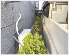  2024Ÿ1529   굿 953-10       ٰð