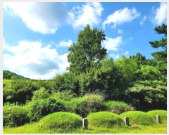  2024Ÿ��5767 ���� ���걸 �ϻ굿 593-1       ����(��1)���