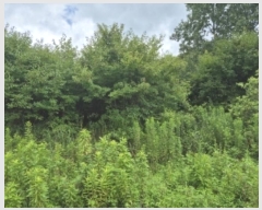  2024Ÿ��5767 ���� ���걸 �ϻ굿 593-1       ����(��1)���