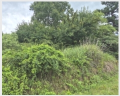  2024Ÿ��5767 ���� ���걸 �ϻ굿 593-1       ����(��1)���