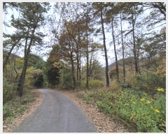  2024Ÿ��82115  �����