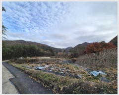  2024Ÿ��82115  �����