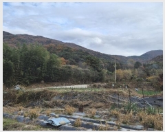  2024Ÿ��82115  �����