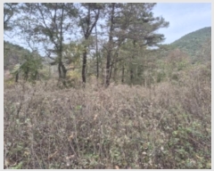  2024Ÿ��82115  �����