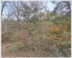  2024Ÿ��82115  �����