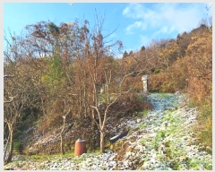  2024Ÿ��86971 ���� ���ֽ� ������ 52       ����(��1)���