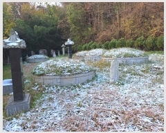  2024Ÿ��86971 ���� ���ֽ� ������ 52       ����(��1)���