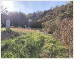  2024Ÿ��86971 ���� ���ֽ� ������ 52       ����(��1)���