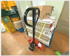  2024Ÿ��3037  ������