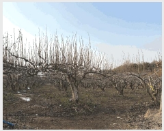  2024Ÿ��9226 ���� ���ֽ� ��õ�� ������ 16-4      ����(������)���