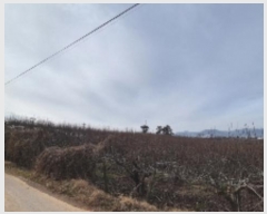  2024Ÿ��9226 ���� ���ֽ� ��õ�� ������ 16-4      ����(������)���