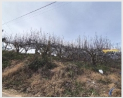  2024Ÿ��9226 ���� ���ֽ� ��õ�� ������ 16-4      ����(������)���