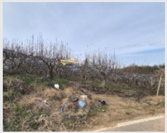  2024Ÿ��9226 ���� ���ֽ� ��õ�� ������ 16-4      ����(������)���