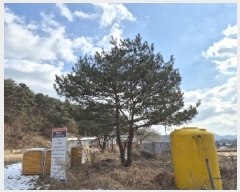  2024Ÿ��9608 ���� ��籺 �ݼ��� �뼺�� 879-4      �ٸ��ü�,�󰡰��