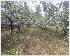  2024Ÿ��76073  �����