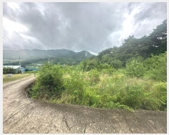  2024Ÿ��76073  �����