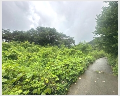  2024Ÿ��76073  �����