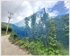  2024Ÿ��76073  �����