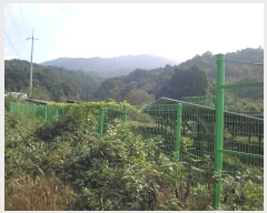  2024Ÿ��81792 ���� ��� ���޸� ���׸� 69      ����(������)���