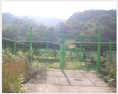  2024Ÿ��81792 ���� ��� ���޸� ���׸� 69      ����(������)���