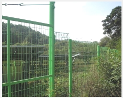  2024Ÿ��81792 ���� ��� ���޸� ���׸� 69      ����(������)���