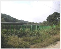  2024Ÿ��81792 ���� ��� ���޸� ���׸� 69      ����(������)���