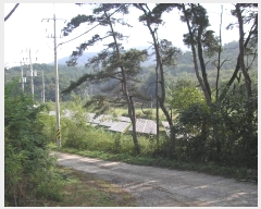  2024Ÿ��81792 ���� ��� ���޸� ���׸� 69      ����(������)���