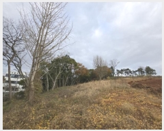  2024Ÿ85763  ֽ ȸ л긮 545-22      ,â