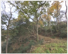  2024Ÿ85763  ֽ ȸ л긮 545-22      ,â