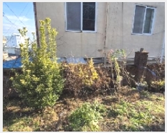  2024Ÿ��87868  ���ð��