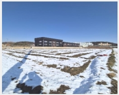  2024Ÿ��88137 ���� ���걸 ���̵� 697-6       ����(��)���