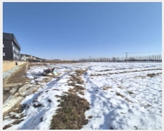  2024Ÿ��88137 ���� ���걸 ���̵� 697-6       ����(��)���