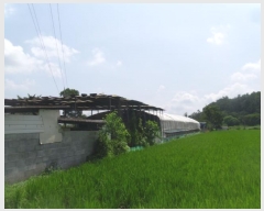  2024Ÿ��5415 ���� ���ֽ� ������ ���踮 1173-1      ���ð��