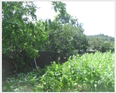  2024Ÿ��5415 ���� ���ֽ� ������ ���踮 1173-1      ���ð��