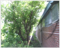  2024Ÿ��5415 ���� ���ֽ� ������ ���踮 1173-1      ���ð��