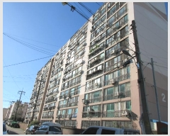  2024Ÿ��79478  ����Ʈ���