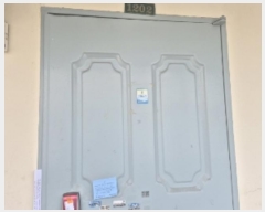  2024Ÿ��79478  ����Ʈ���