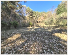  2024Ÿ��81822  �������