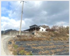  2024Ÿ��87295  ���ð��