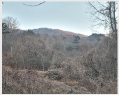  2024Ÿ��88373 ���� ȭ���� ������ ��õ�� ��35      ����(�Ӿ�)���