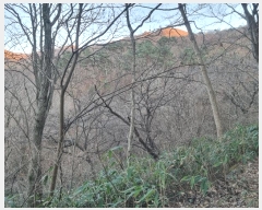  2024Ÿ��88373  ���(�󰡽ü�)���