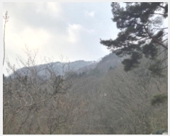  2024Ÿ��88373  ���(�󰡽ü�)���