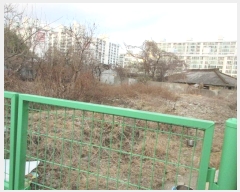  2024Ÿ��88717 ���� ���걸 ���굿 717       ����(����)���