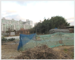  2024Ÿ��88717 ���� ���걸 ���굿 717       ����(����)���