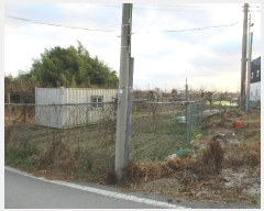  2024Ÿ��88717 ���� ���걸 ���굿 717       ����(����)���