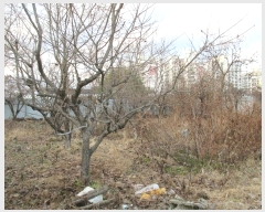  2024Ÿ��88717 ���� ���걸 ���굿 717       ����(����)���