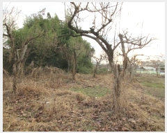  2024Ÿ��88717 ���� ���걸 ���굿 717       ����(����)���