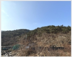  2024Ÿ89413  ȭ ϸ ȣϸ 79      (Ӿ)