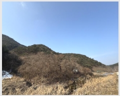  2024Ÿ89413  ȭ ϸ ȣϸ 79      (Ӿ)