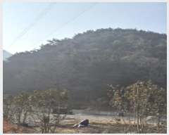  2024Ÿ89413  ȭ ϸ ȣϸ 79      (Ӿ)